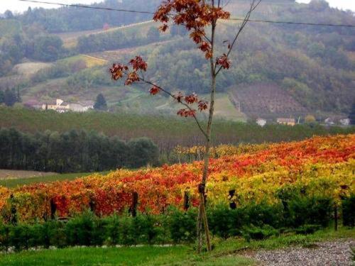 Agriturismo Le Due Cascine Villa San Marzano Oliveto Dış mekan fotoğraf